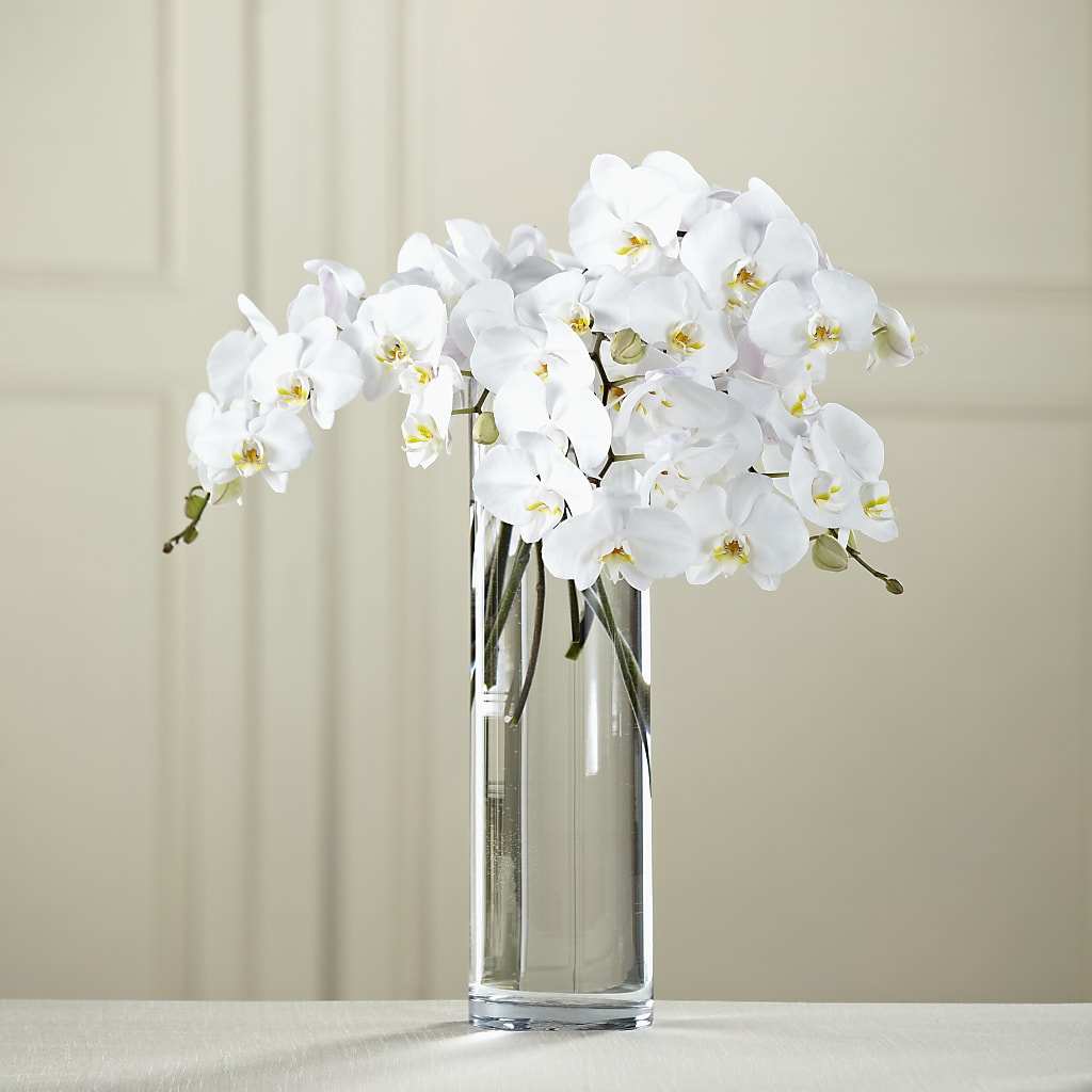 Bouquet de Phalaenopsis blanc